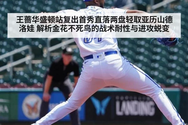 王蔷华盛顿站复出首秀直落两盘轻取亚历山德洛娃 解析金花不死鸟的战术耐性与进攻蜕变