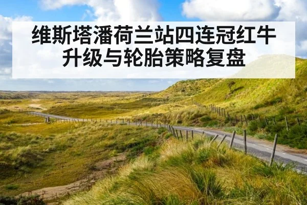 维斯塔潘荷兰站四连冠红牛升级与轮胎策略复盘